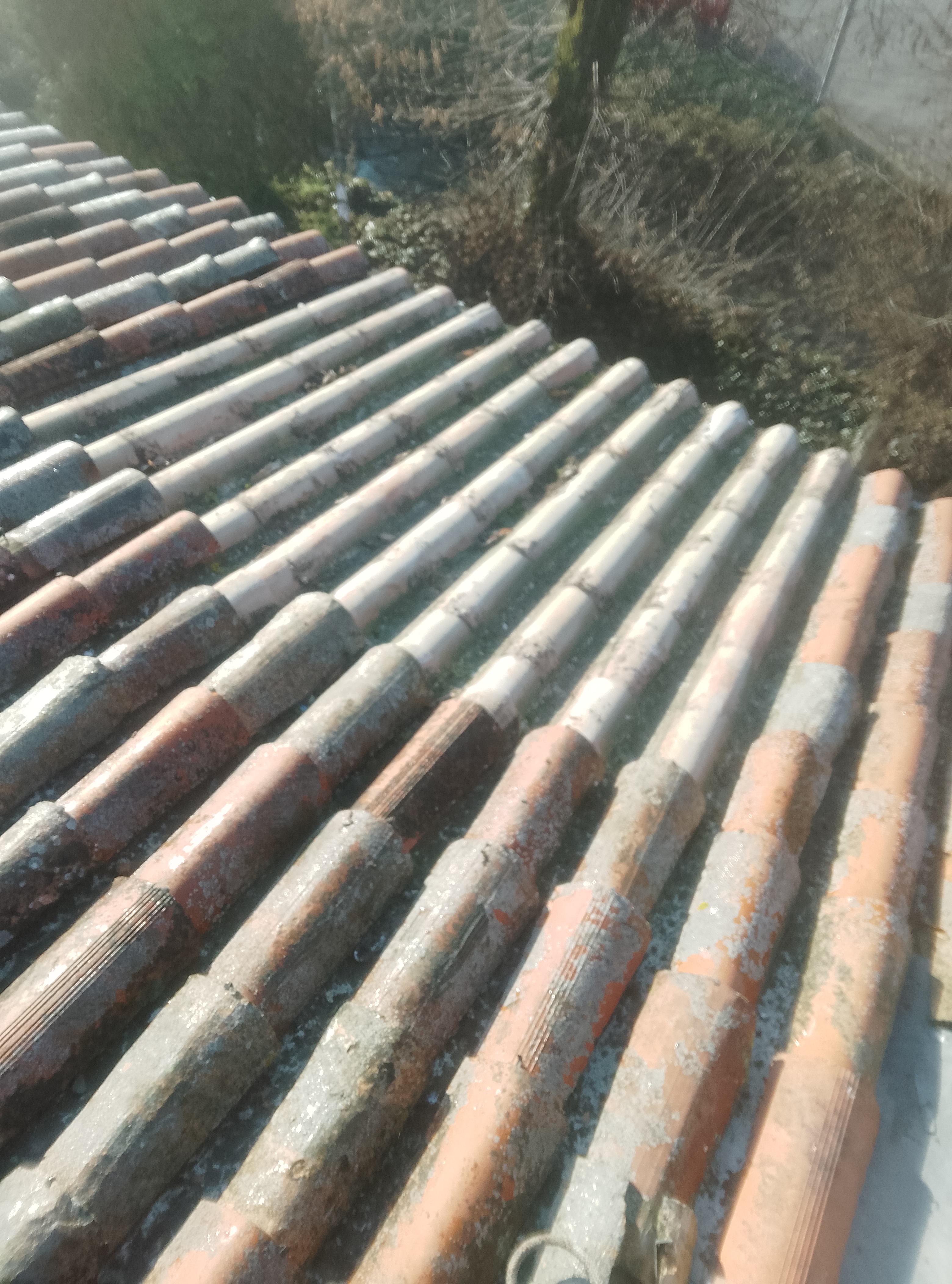 Rifacimento tetto Milano Pavia 38