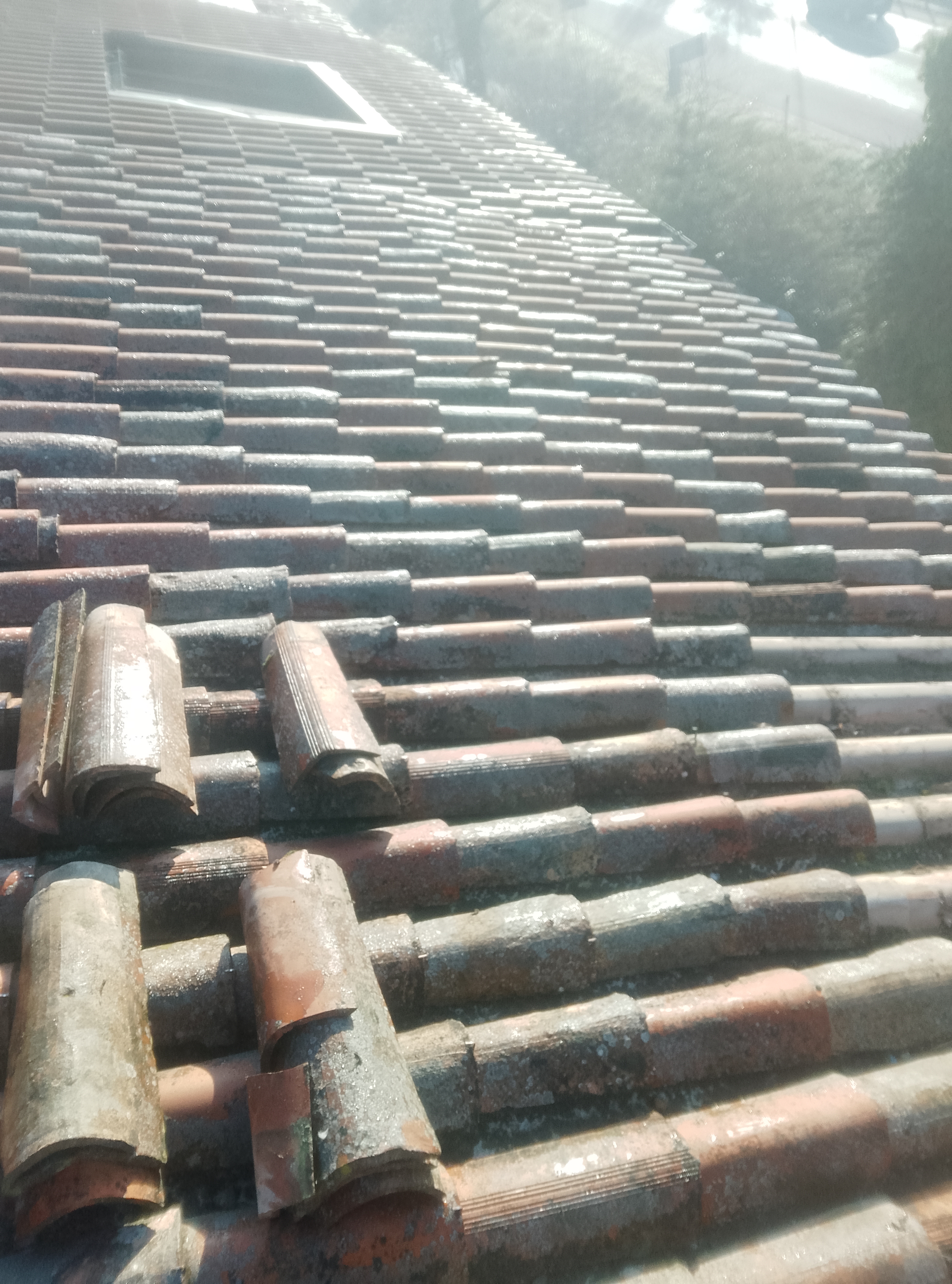 Rifacimento tetto Milano Pavia 39