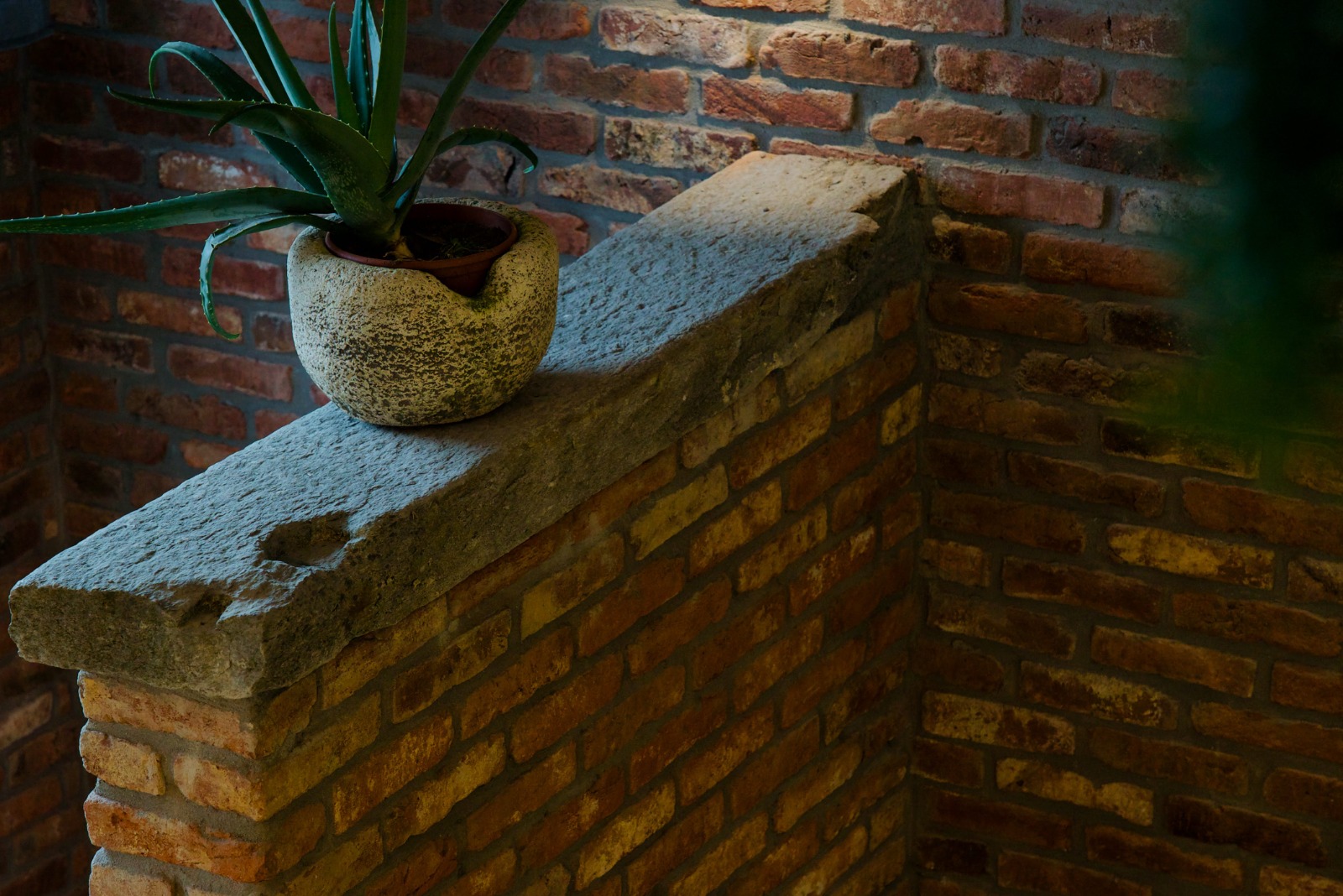 Rifacimento tetto Milano Pavia 43