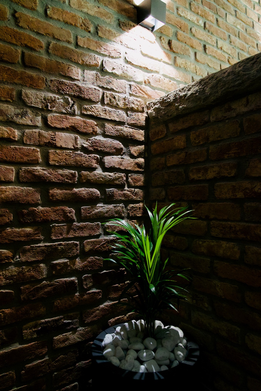 Rifacimento tetto Milano Pavia 44