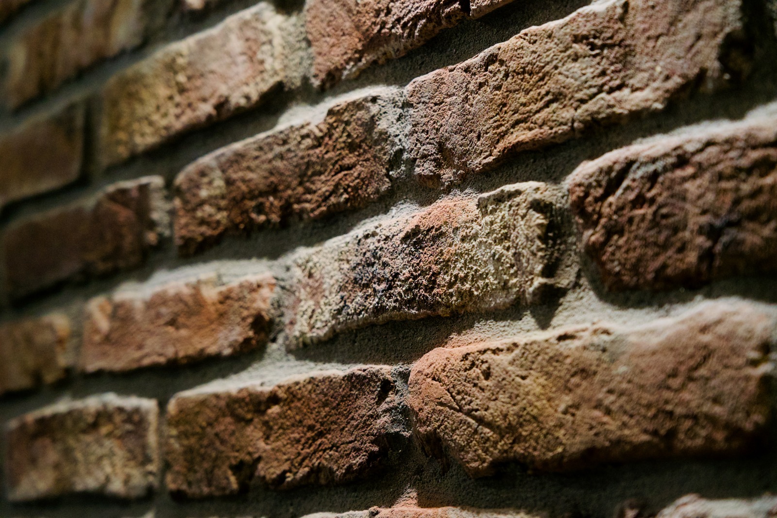 Rifacimento tetto Milano Pavia 45