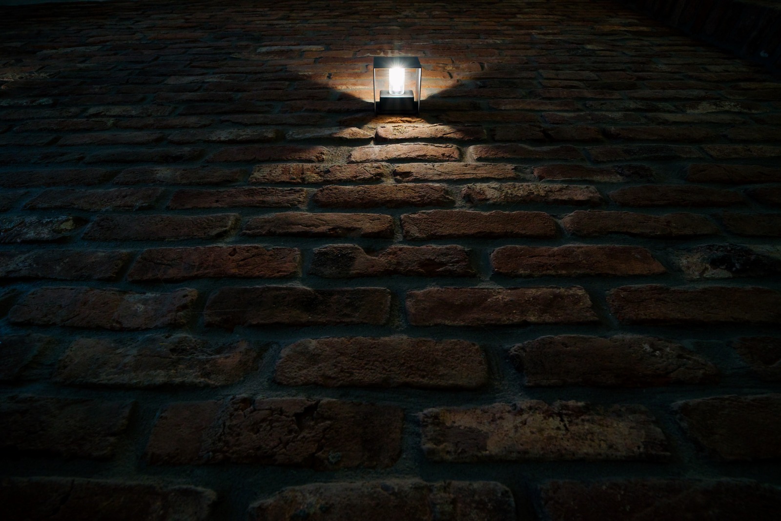 Rifacimento tetto Milano Pavia 59